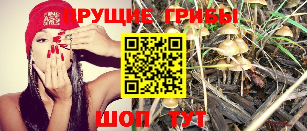 Псилоцибиновые грибы прущие грибы  Вход с VPN  Азов  Псилоцибиновые грибы Psilocybine cubensis 